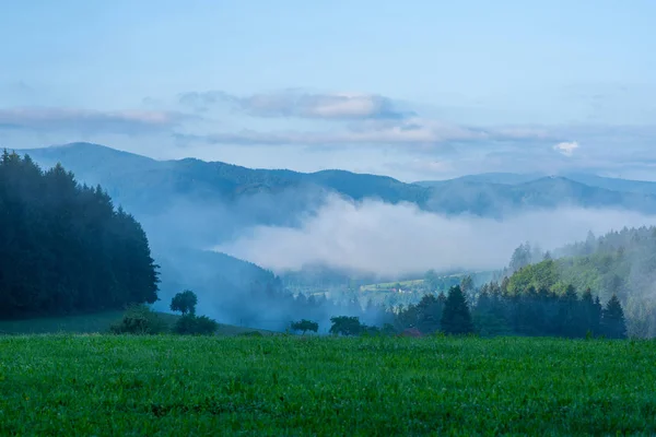 Ранний Утренний Туман Луговых Холмах Холмистый Пейзаж Синей Дымке Захватывающий — стоковое фото
