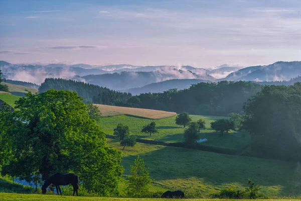 Scenic Panoramic View Picturesque Mountain Valley Summer Foggy Sunrise Colorful — Stock Photo, Image