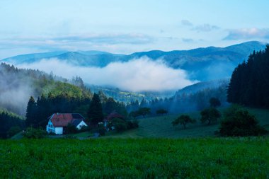 Kara Orman. Sisli kozalaklı ağaç ve yeşil çayır üzerinde gün doğumu. Köy ile güzel kırsal dağ manzara. Doğa manzarası. Muhlenbach köyü, Baden-Wurttemberg, Almanya.