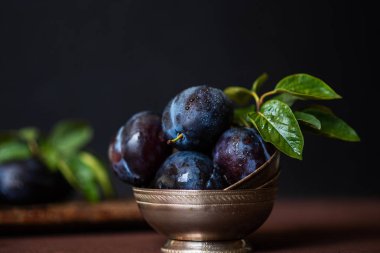 Bahçe erikleri masada. Yaprakları ile taze erik kapatın. Erik yaz veya sonbahar hasadı. Tonlu görüntü. Seçici odaklama.