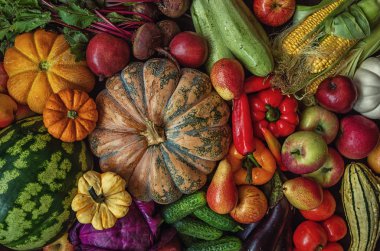 Taze ve lezzetli sebzelerden oluşan bir koleksiyon. Tonlu görüntü.