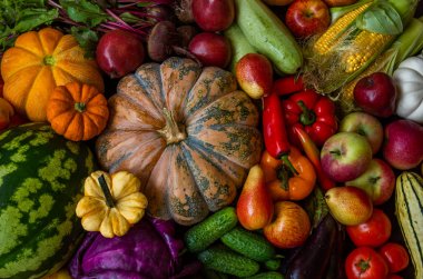 Çeşitli organik sebzelerle kompozisyon. Detoks diyeti.