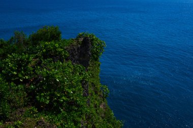 Bali Uluwatu de dik uçurum ve okyanus Amazing görünümü.