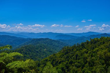 Ufukta mavi bir pus içinde tepelik manzara. Muhteşem görünümü bulutlu bir gökyüzü ve yemyeşil tropikal yağmur ormanları Cameron Highlands, Malezya. Seyahat ve tatil kavramı. Ekolojik turizm kavramı