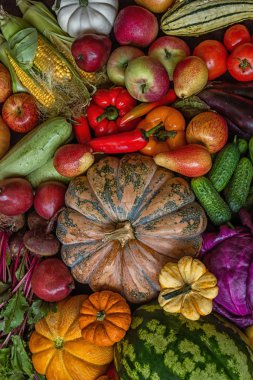 Taze ve lezzetli sebzeler koleksiyonu.