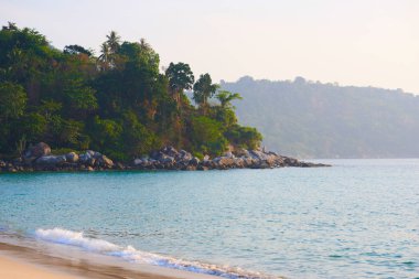 Tropikal plajda puslu bir sabah kaya oluşumları ve palmiye. Vintage etkisi.