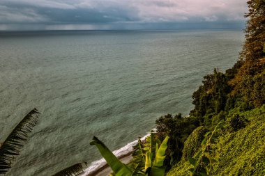 Karadeniz kıyısındaki deniz koyubotanik bahçesinden güzel manzara. Yazın yemyeşil bitki örtüsü. Dramatik gökyüzü, bulutlu bir gün. Batum, Acara Gürcistan Kafkasya.