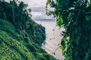 Karadeniz kıyısındaki deniz koyubotanik bahçesinden güzel manzara. Yazın yemyeşil bitki örtüsü. Dramatik gökyüzü, bulutlu bir gün. Batum, Acara Gürcistan Kafkasya.