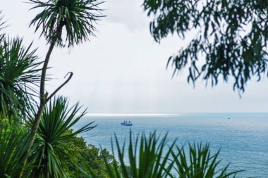 Karadeniz kıyısındaki deniz koyubotanik bahçesinden güzel manzara. Yemyeşil bitki örtüsü ve gemi uzakta. Batum, Acara Gürcistan Kafkasya.