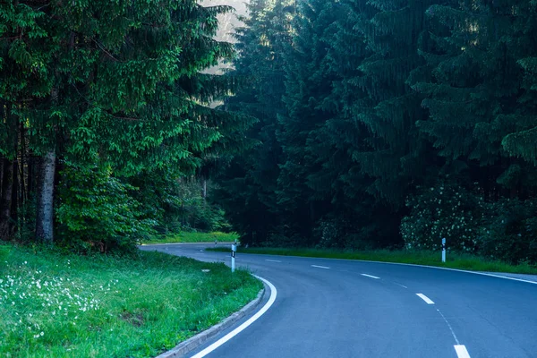Estrada Curvilínea Com Árvores Antigas Lado Black Forest Alemanha — Fotografia de Stock