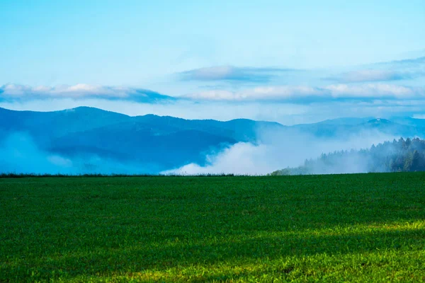 Vroege Zonsopgang Ochtend Mist Weide Heuvels Heuvelachtig Landschap Een Blauwe — Stockfoto