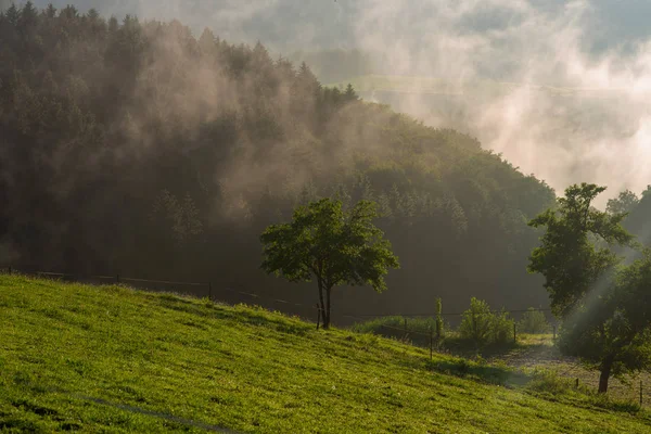 Живописный Летний Горный Пейзаж Восходе Солнца Туманом Вид Шварцвальд Германии — стоковое фото
