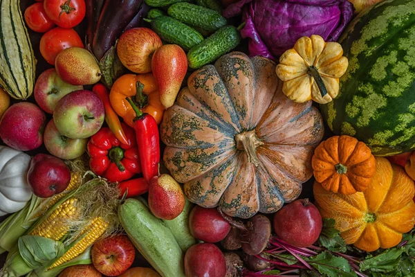 Gezond Veganistisch Vegetarisch Eten Dieet Eten Concept — Stockfoto