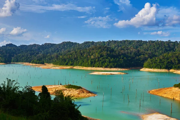 A landscape of Kenyir Lake, Terengganu, Malaysia. Dead woods, turquoise water and lush green tropical rainforest. Ecological tourism.