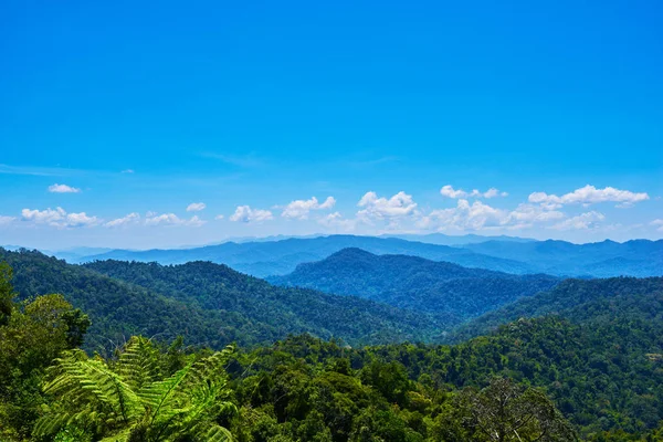 Hilly landscape in a blue haze to the horizon. Spectacular view a cloudy sky and lush tropical rainforest Cameron Highlands, Malaysia. Concept of travel and holiday.