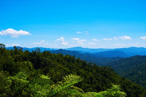 Hilly landscape in a blue haze to the horizon. Spectacular view a cloudy sky and lush tropical rainforest Cameron Highlands, Malaysia. Concept of travel and holiday. The concept of ecological tourism