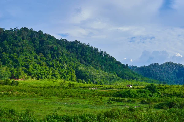 Ufukta mavi bir pus içinde tepelik manzara. Muhteşem görünümü bulutlu bir gökyüzü ve yemyeşil tropikal yağmur ormanları Cameron Highlands, Malezya. Seyahat ve tatil kavramı. Ekolojik turizm.