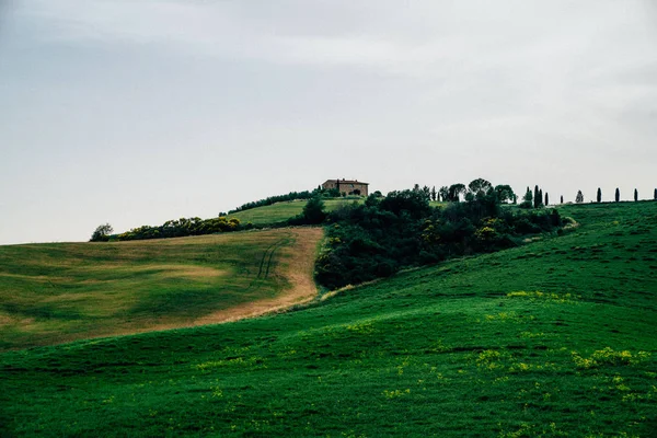 이탈리아 토스카나의 필드의 아름답고 기적적인 풍경입니다 사이프러스 관광의 — 스톡 사진