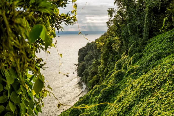 Schöne Aussicht Vom Botanischen Garten Der Meeresbucht Auf Die Schwarzmeerküste — Stockfoto