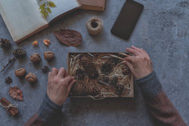 Eski kitap, kurutulmuş çiçekler ve düşmüş yaprakları, kuru yaprakları ve gri arka plan üzerinde ip. Sonbahar, sonbahar konsepti. Hediyeleri hazırlıyorum. Kadın elleri bir kutu tutuyor. Üst te. Düz yatıyordu. Tonlu görüntü.