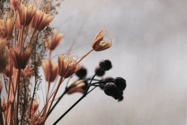 Sonbahar çiçekleri ile sisli pencere cam. Bulanık sarı çiçekler ve arka planda cam üzerinde fogg. Sonbahar hava ve mevsim kavramı. Kopya spazile ile tonda görüntü. Seçici odaklama.