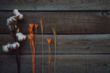 Sarı çiçekler, pamuk çiçek ve buğday kulakları ile Sonbahar arka plan. Kopya alanı ile yaşlı ahşap güz hasat. Sezonluk teklifler ve tatil kartpostalı için maket, üst görünüm. Tonlu görüntü.