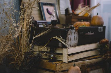 Satılık ilginç eski şeyler le dolu bir vitrin görünümü. Kapalı bit pazarında çeşitli vintage nesneler. Ev vintage iç natürmort detayları. Sıcak rahat sonbahar konsepti. Tonlu görüntü.