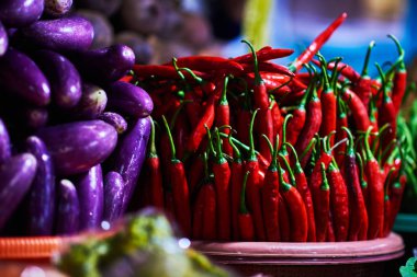 Çiftçi pazarından organik taze farklı sebze. Sağlıklı yerel gıda pazarı. Biyo gıda, otlar ve baharatlar. Taze sebze beetroots, patlıcan, biber hasat. Sonbaharda hasat kavramı.