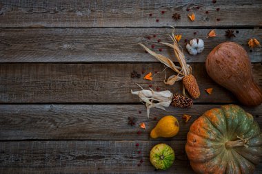 Şükran günü arka plan. Kabak, elma, yaprak, pamuk çiçek ve baharat kahverengi ahşap zemin üzerinde. Mevsim sonbahar Şükran veya Halloween için arka plan. Tasarım kadar sahte. Yatay, tonlu görüntü.