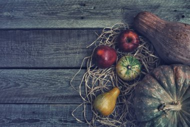 Sonbahar kabaklar Şükran günü arka plan. Ahşap masa üzerinde turuncu, sarı ve yeşil kabak. Saman ve ahşap arka plan üzerinde elma ile farklı bir boyutunu balkabağı. Sebze hasat. Tonlu görüntü.