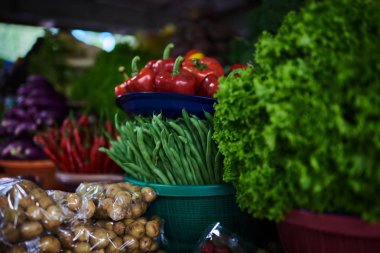 Çiftçi pazarından organik taze farklı sebze. Sağlıklı yerel gıda pazarı. Biyo gıda, otlar ve baharatlar. Taze sebze beetroots, patlıcan, biber hasat. Sonbaharda hasat kavramı.
