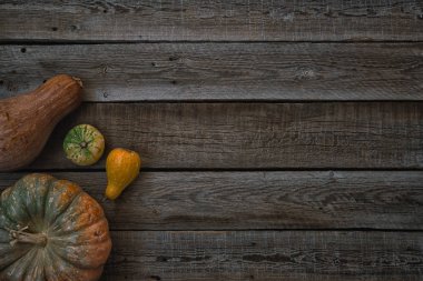 Rustik antika arka plan farklı kabak ile. Şükran günü kavramı. Kapalı vintage kahverengi arka planda, kopya alanı metin için üstten görünüm kabaklar ve su kabakları çeşitleri. Tonlu görüntü.