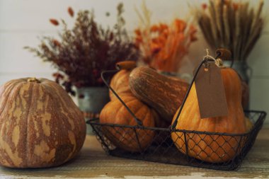 Rustik beyaz kalaslar üzerinde Halloween kabaklar, tatil dekorasyon. Sonbahar balkabağı Şükran arka plan. Kabak, buğday ve sonbahar çiçekleri ile Ahşap arka plan. Seçici odak. Tonlu görüntü.