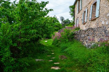 Sarmaşık bir evin dış. Bir çiftlik evinin dekorasyon duvarı için bir bitki. Creeper bitki duvar arka plan ile pencereler kapaklı eski bina. Fransa'nın pitoresk kırsal. Eko turizm.