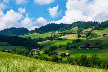 İsviçre Alpleri'nde mavi gökyüzü ile Pastoral yaz manzara. Muhteşem alp ahşap evler, yeşil alanlar ve çayırlar. Güzel bulutlar ile parlak mavi gökyüzü.