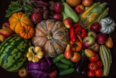 Taze ve lezzetli sebzeler koleksiyonu.