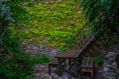 Duvardaki yeşil sürüngen bitkisi. Yeşil tırmanma tesisleri ile dekore vintage ahşap merdiven ile kırmızı taş duvar yapılmış eski yaşlı bina Charming. Eski Fransız yazlık.