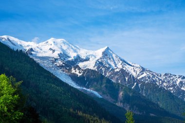Arka planda Mont Blanc renkli yaz panorama, Chamonix konumu. Vallon de Berard Doğa Rezervi, Graian Alpleri, Fransa, Avrupa'da güzel bir açık hava sahnesi.