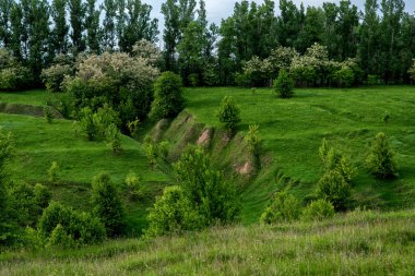 Bahar otlarında tepeler.