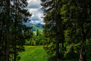 Güzel dağlar manzarası. Tyrol, İtalya'da vadide küçük bir köy ile yaz aylarında Dolomites Dağı kaplı kar görünümü.