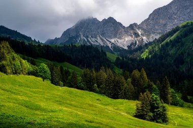 Kar ve bulutlarla kaplı zirveleri ile Alp bahar manzara. İlkbaharda güzel bir günde taze yeşil çayırları ile İsviçre Alpleri'nde pastoral dağ manzarası görünümü.