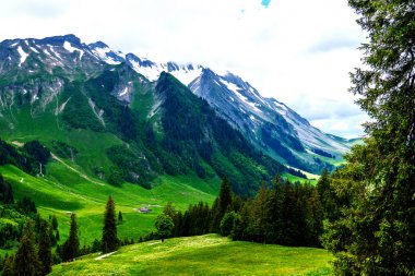 Kar ve bulutlarla kaplı zirveleri ile Alp bahar manzara. İlkbaharda güzel bir günde taze yeşil çayırları ile İsviçre Alpleri'nde pastoral dağ manzarası görünümü.