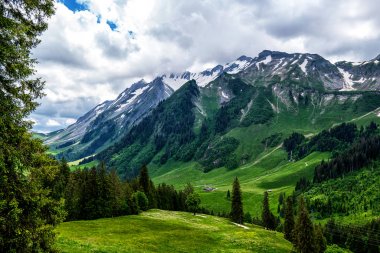 Kar ve bulutlarla kaplı zirveleri ile Alp bahar manzara. İlkbaharda güzel bir günde taze yeşil çayırları ile İsviçre Alpleri'nde pastoral dağ manzarası görünümü.