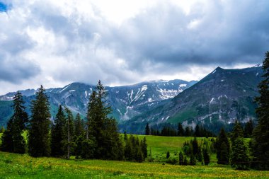 Kar ve bulutlarla kaplı zirveleri ile Alp bahar manzara. İlkbaharda güzel bir günde taze yeşil çayırları ile İsviçre Alpleri'nde pastoral dağ manzarası görünümü.