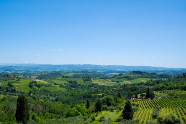Üzüm bağlarının güzel manzarası. Yaz sezonunda Chianti bölgesi. San Gimignano kırsal ve chianti vernaccia üzüm bağları görünümü. Toskana, İtalya, Avrupa. Yaz, tatil, seyahat konsepti.