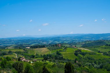 Üzüm bağlarının güzel manzarası. Yaz sezonunda Chianti bölgesi. San Gimignano kırsal ve chianti vernaccia üzüm bağları görünümü. Toskana, İtalya, Avrupa. Yaz, tatil, seyahat konsepti.