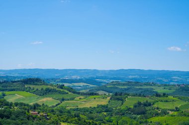 Üzüm bağlarının güzel manzarası. Yaz sezonunda Chianti bölgesi. San Gimignano kırsal ve chianti vernaccia üzüm bağları görünümü. Toskana, İtalya, Avrupa. Yaz, tatil, seyahat konsepti.