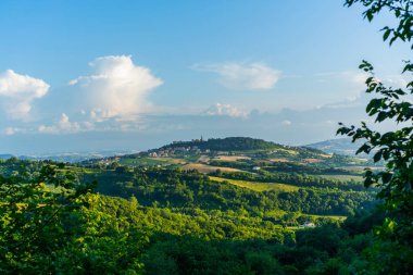 Toskana, İtalya'da güzel bir vadi. Arka planda San Gimignano şehir ile üzüm bağları ve peyzaj. Turizm, İtalya'da seyahat. Güzel hedef Avrupa. Yaz tatili açık tatil gezisi.
