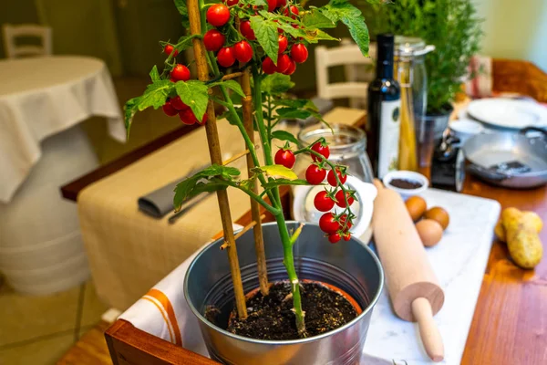 Свежие Овощи Горшок Старинные Кухонные Принадлежности Дисплей Перед Итальянским Рестораном — стоковое фото