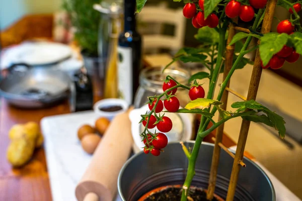Свежие Овощи Горшок Старинные Кухонные Принадлежности Дисплей Перед Итальянским Рестораном — стоковое фото